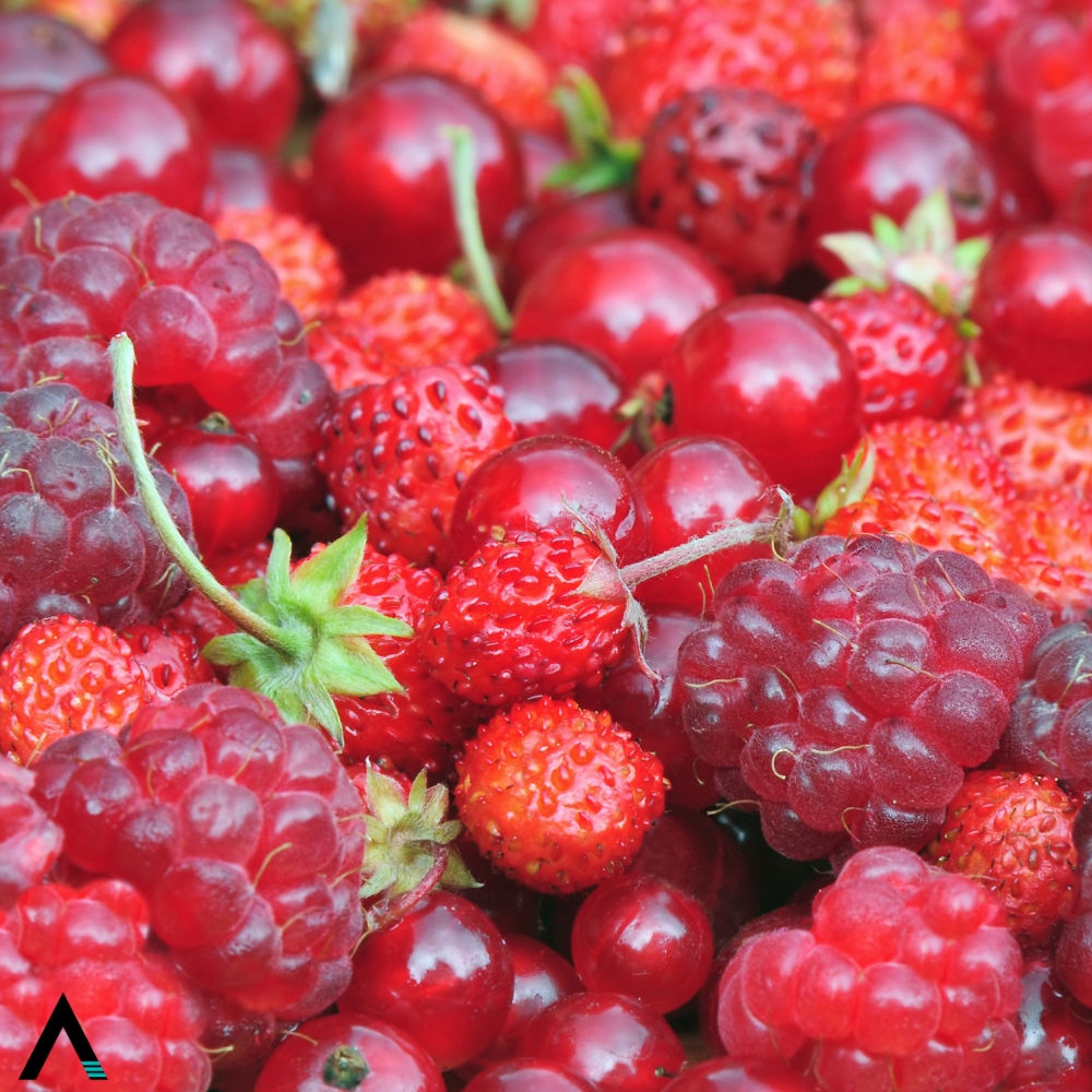 frutos rojos